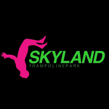 Logo Skyland